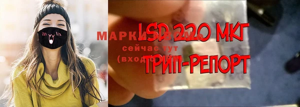 мдпв Надым