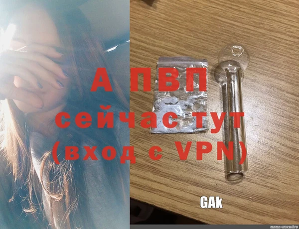 СК Бежецк