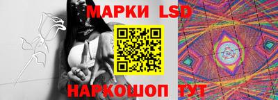 винт Донецк
