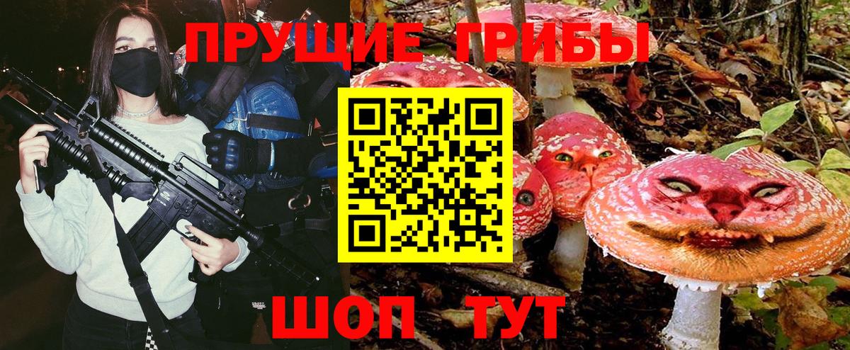 Каменск-Шахтинский  Псилоцибиновые грибы Psilocybine cubensis  Псилоцибиновые грибы прущие грибы  Вход с VPN 