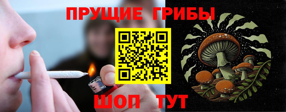 Псилоцибиновые грибы GOLDEN TEACHER  Каменск-Шахтинский  Галлюциногенные грибы Cubensis 