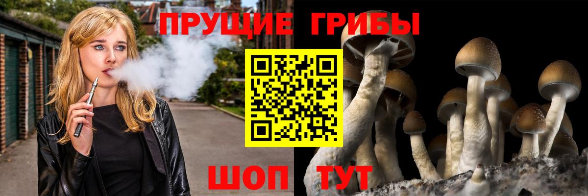 Псилоцибиновые грибы GOLDEN TEACHER Каменск-Шахтинский